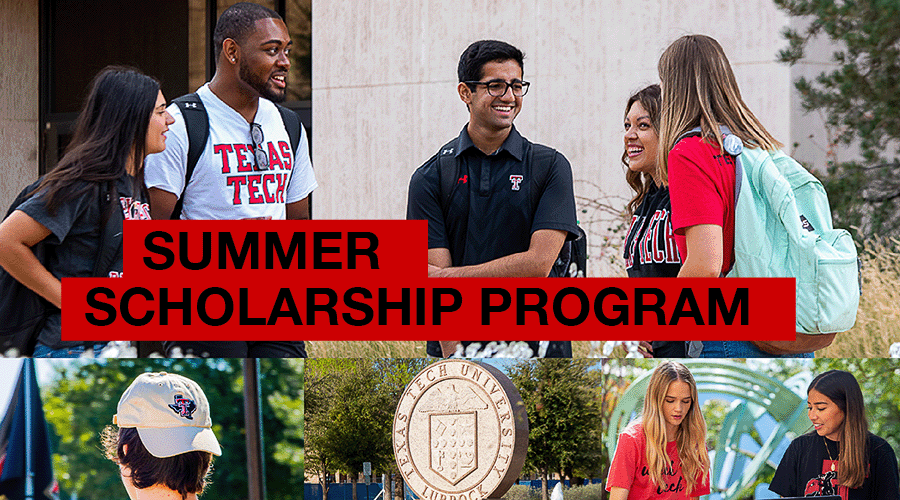 Summer Scholarship Program